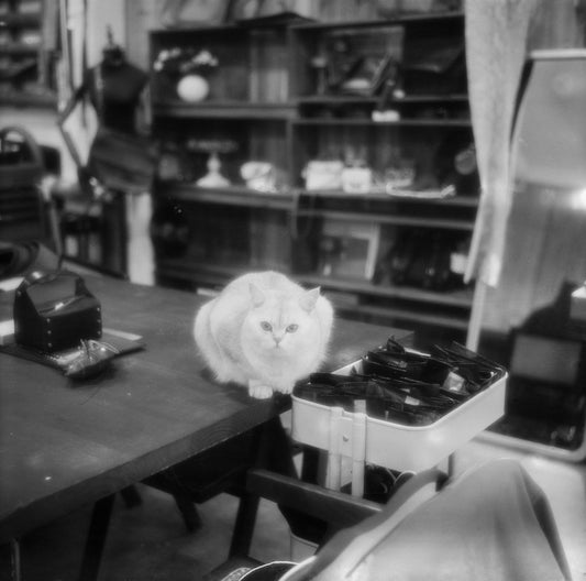 A New Film Project From China
(NOT LUCKY)