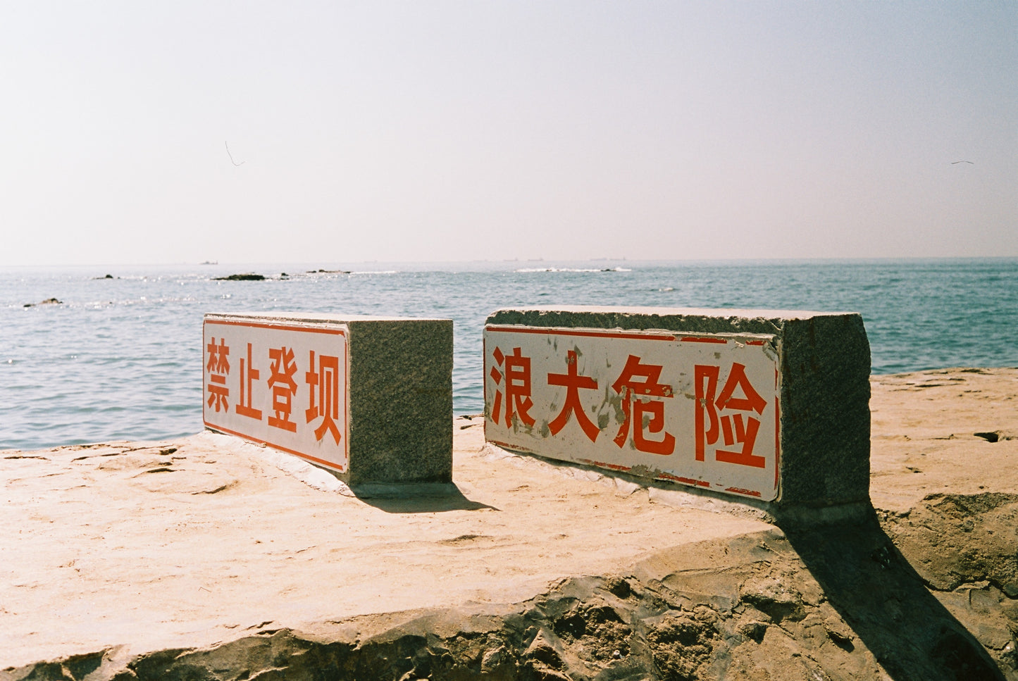 3 ROLLS REFLX LAB PRO100 COLOR FILM 36EXP