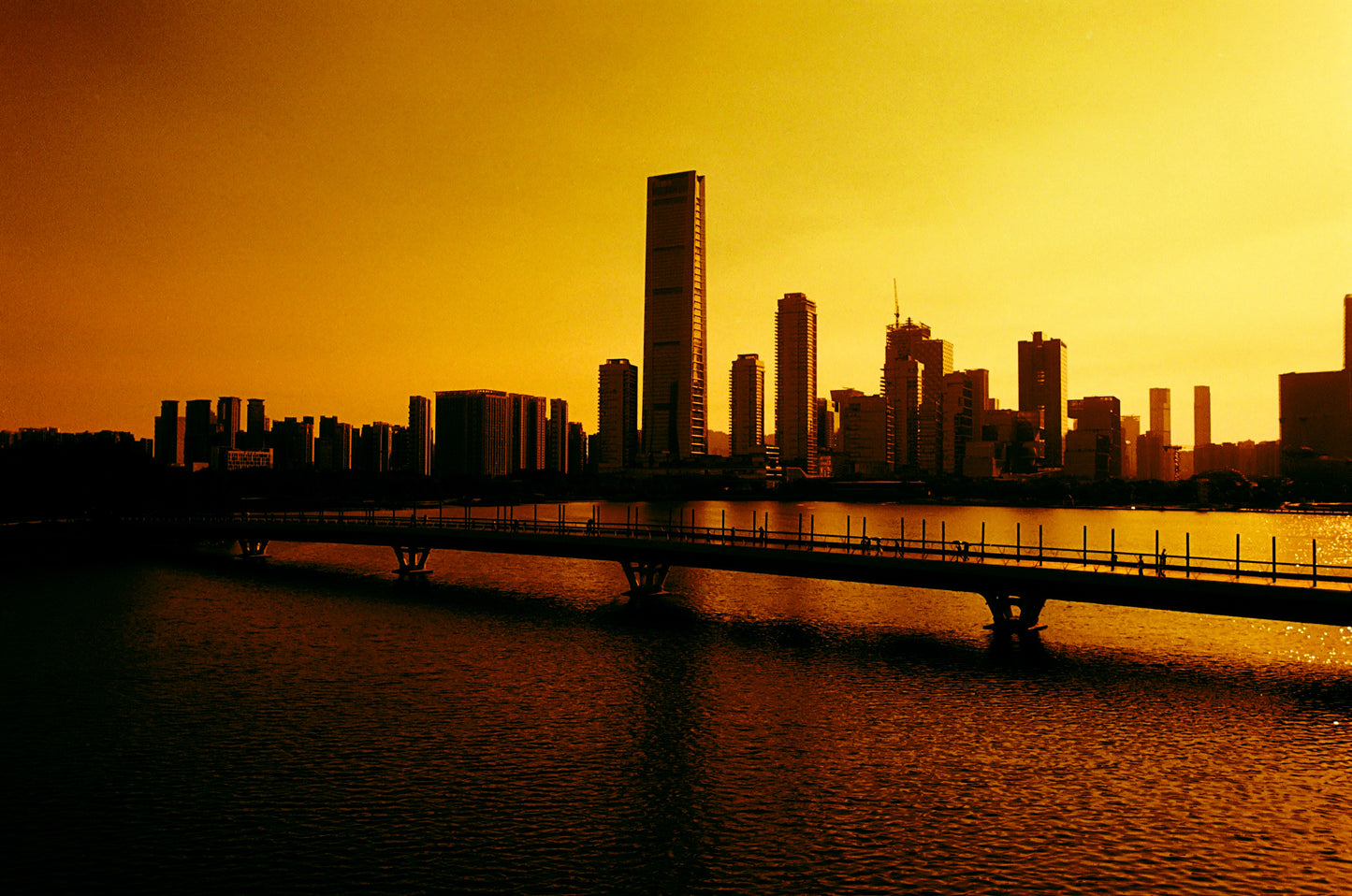 REFLX LAB DIABLO 100 RED SCALE FILM
