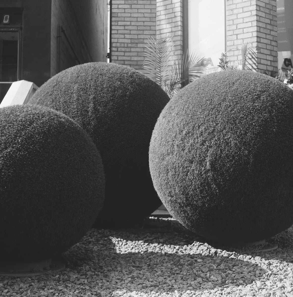 3 ROLLS LUCKY SHD100 BLACK AND WHITE FILM -120