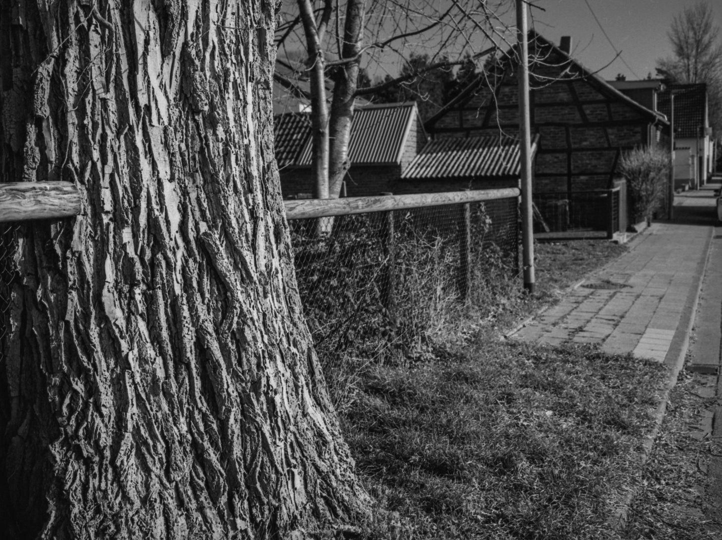 3 ROLLS LUCKY SHD400 BLACK AND WHITE FILM-120