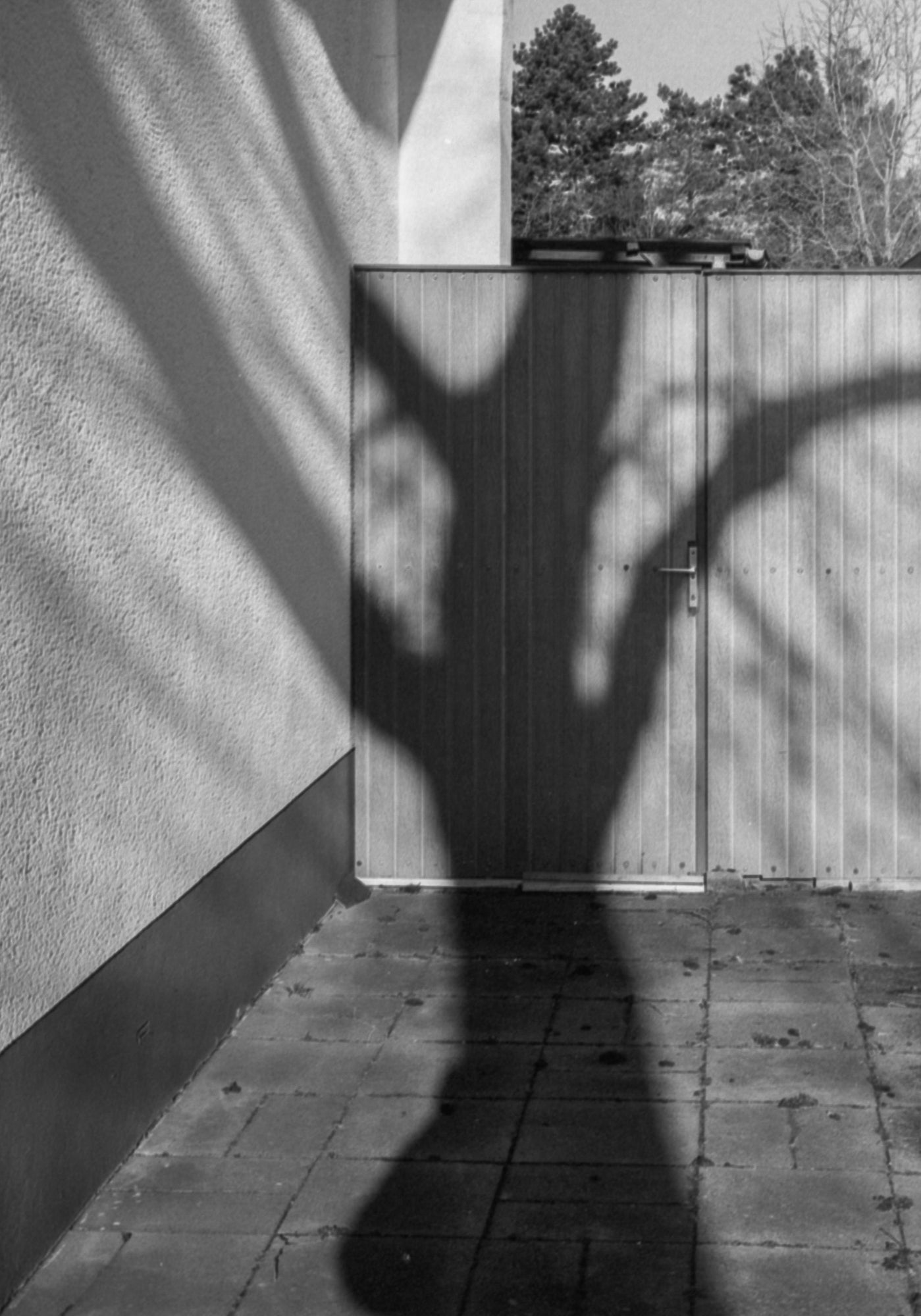 3 ROLLS LUCKY SHD400 BLACK AND WHITE FILM-120