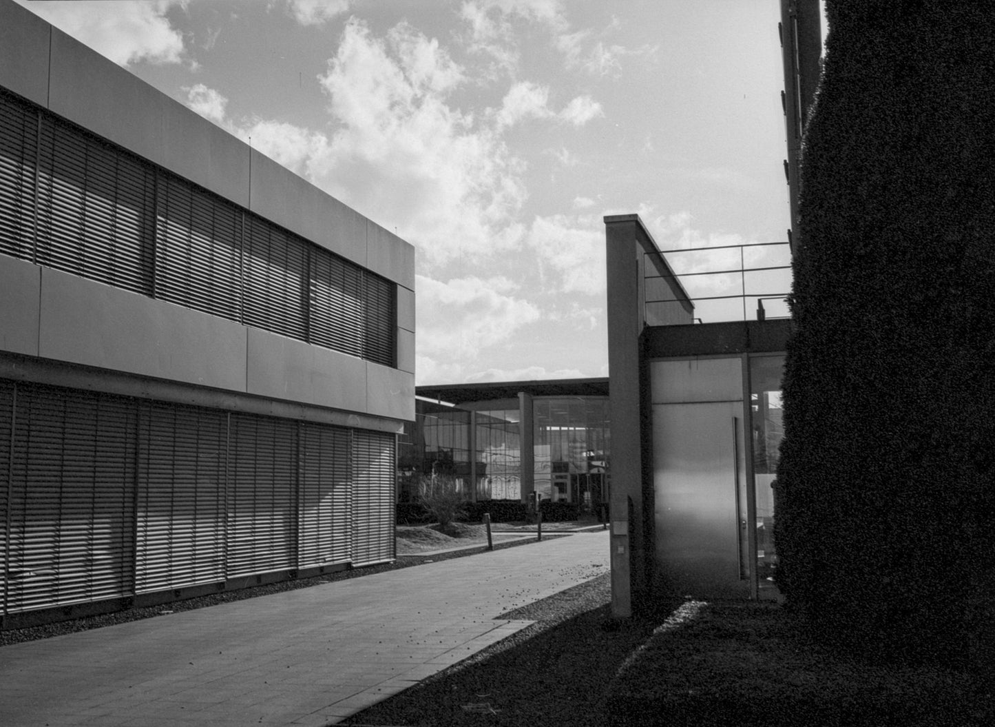 3 ROLLS LUCKY SHD400 BLACK AND WHITE FILM-120