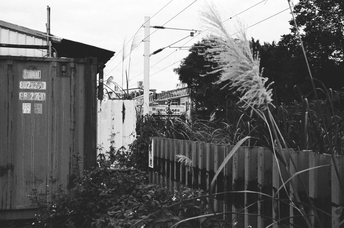 3 ROLLS LUCKY SHD400 BLACK AND WHITE FILM 36EXP