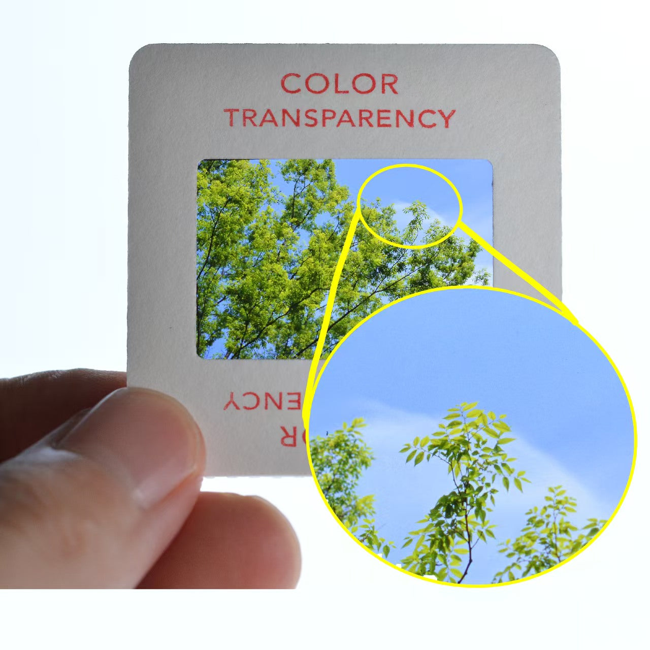 DIGITAL TO ANALOG CONVERSION (36 EXP)