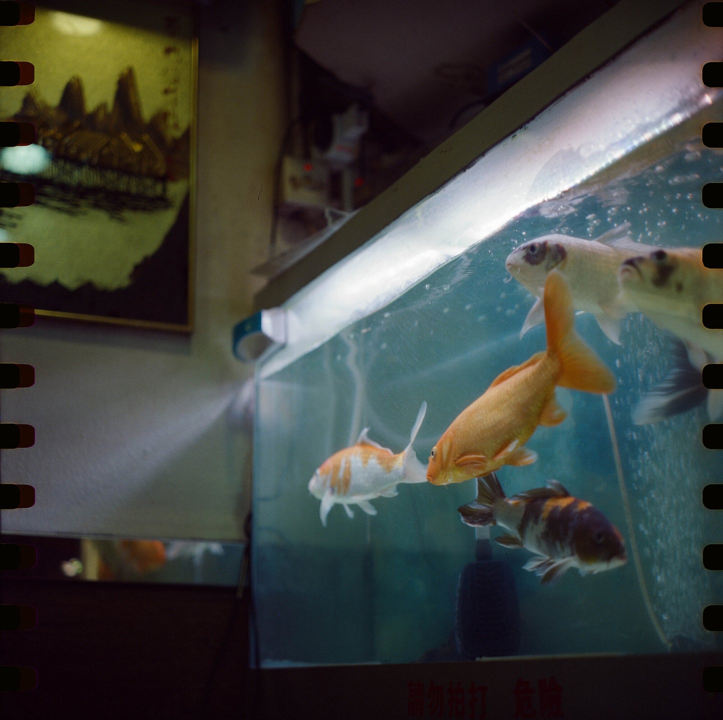 3-PACK REFLX LAB 500T ECN-2 FILM-120