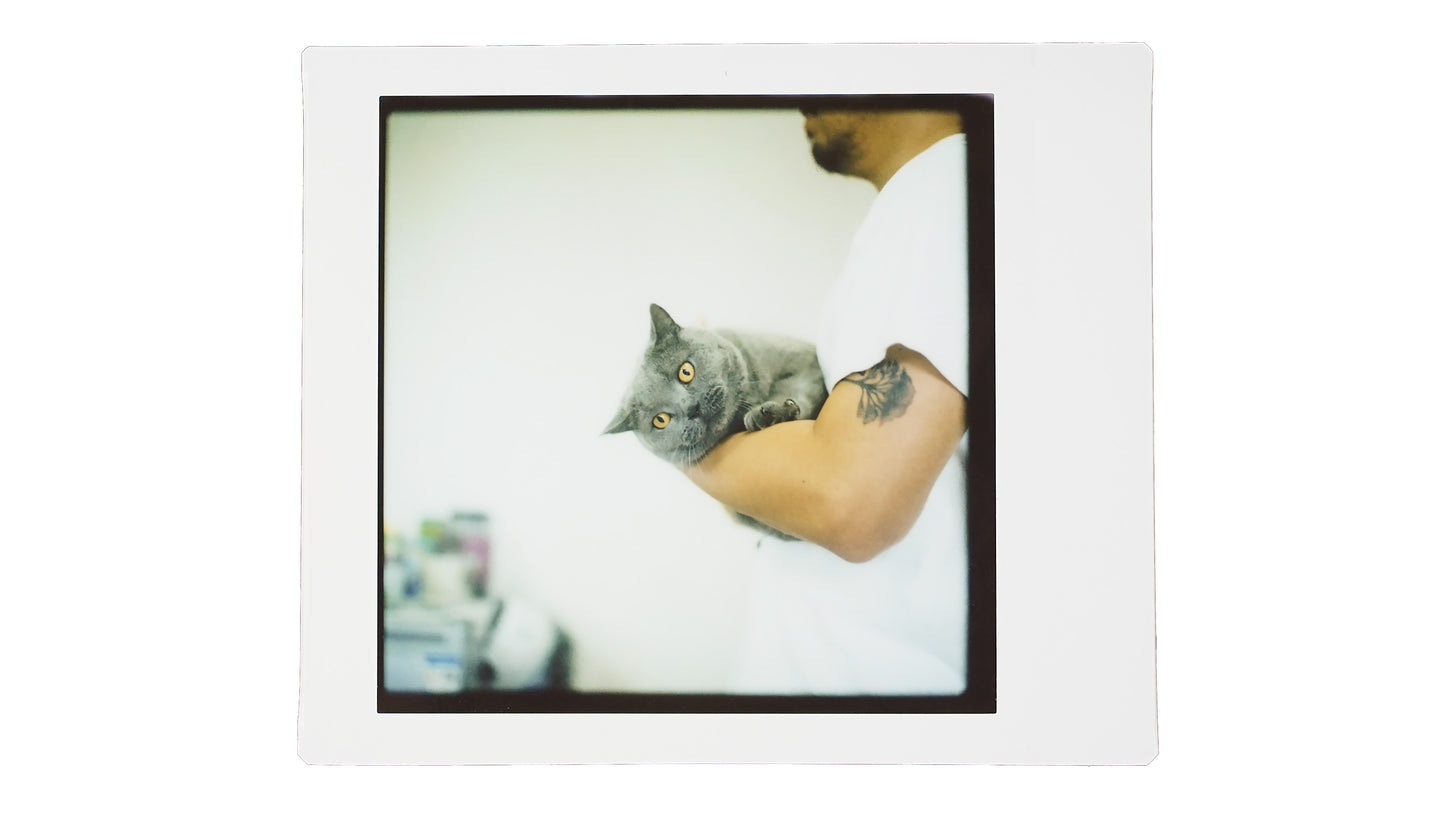 NONS Instant Back for Hasselblad