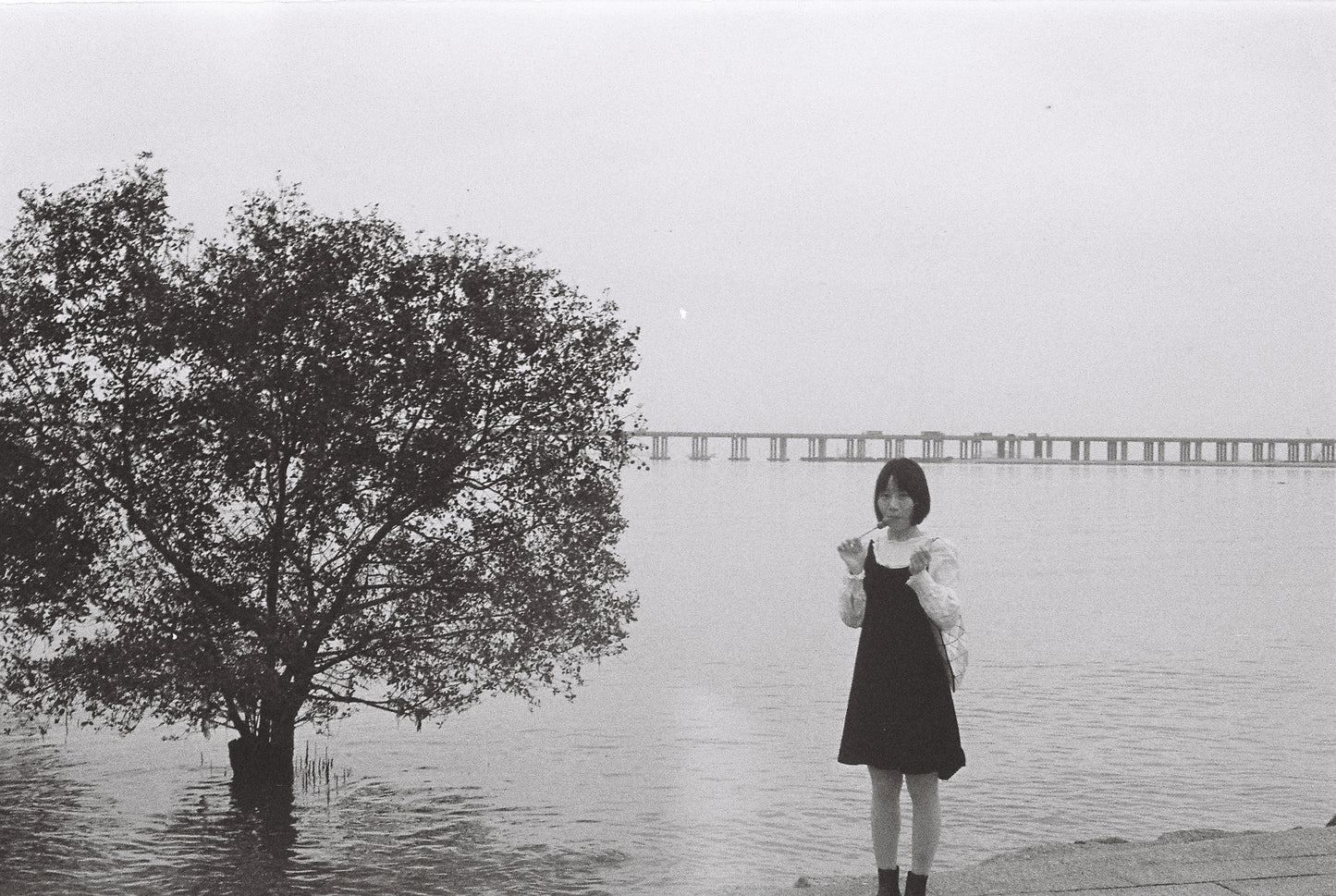 3 ROLLS REFLX LAB PAN400 BLACK AND WHITE FILM 36EXP