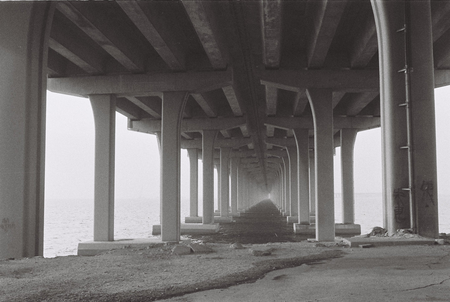 3 ROLLS REFLX LAB PAN400 BLACK AND WHITE FILM 36EXP