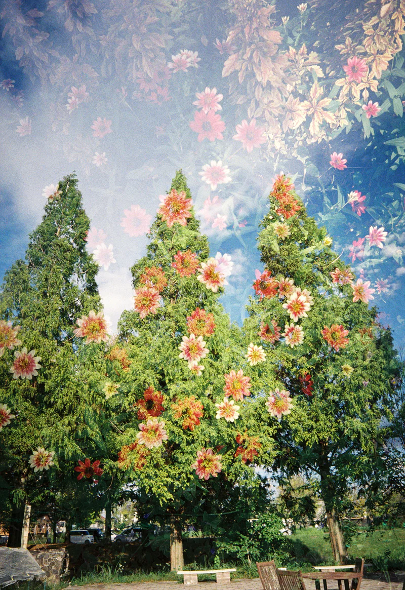 [READY STOCK] Kodak Snapic A1 Film Camera