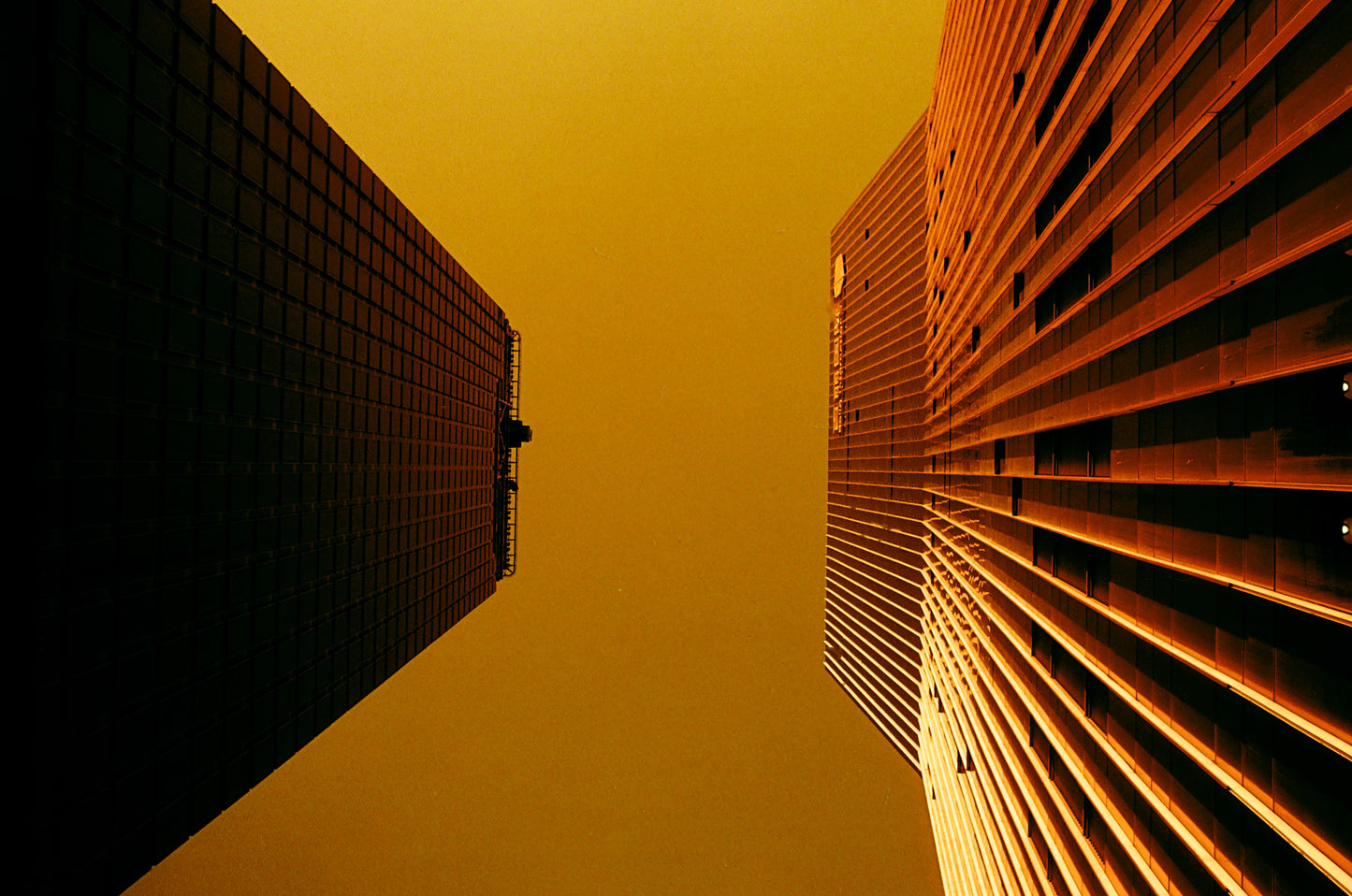 REFLX LAB DIABLO 100 RED SCALE FILM