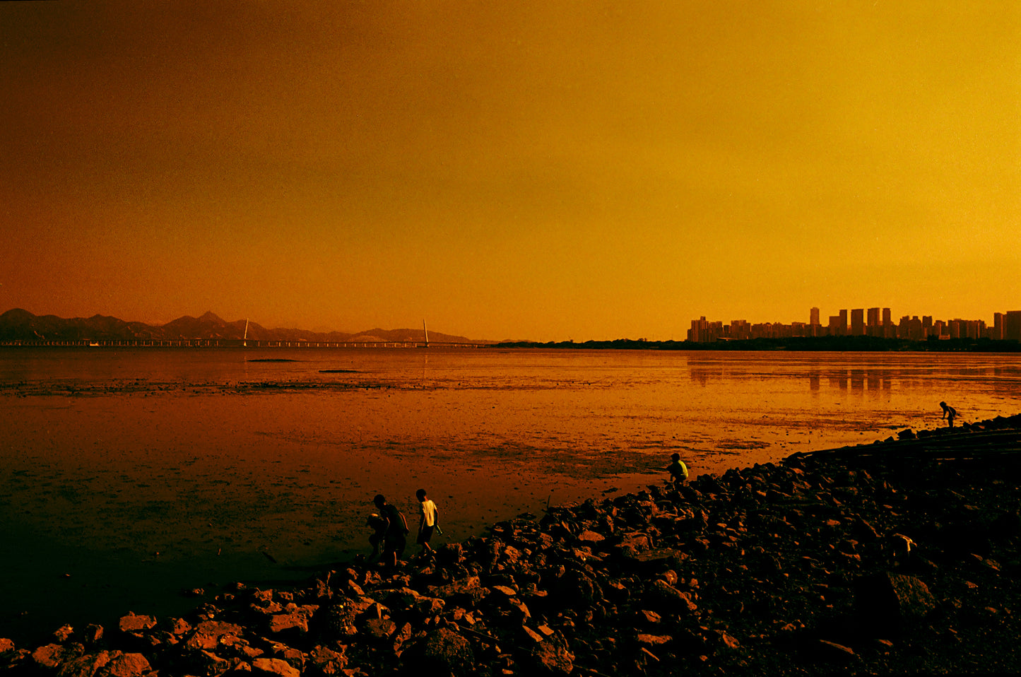REFLX LAB DIABLO 100 RED SCALE FILM