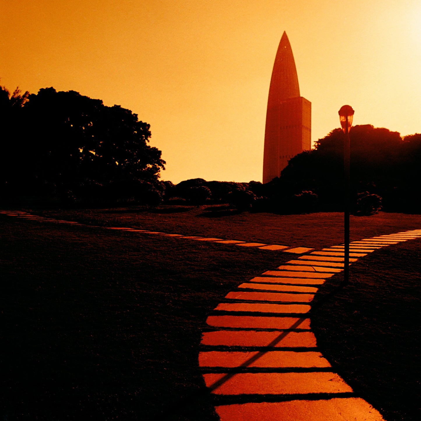 REFLX LAB DIABLO 100 RED SCALE FILM