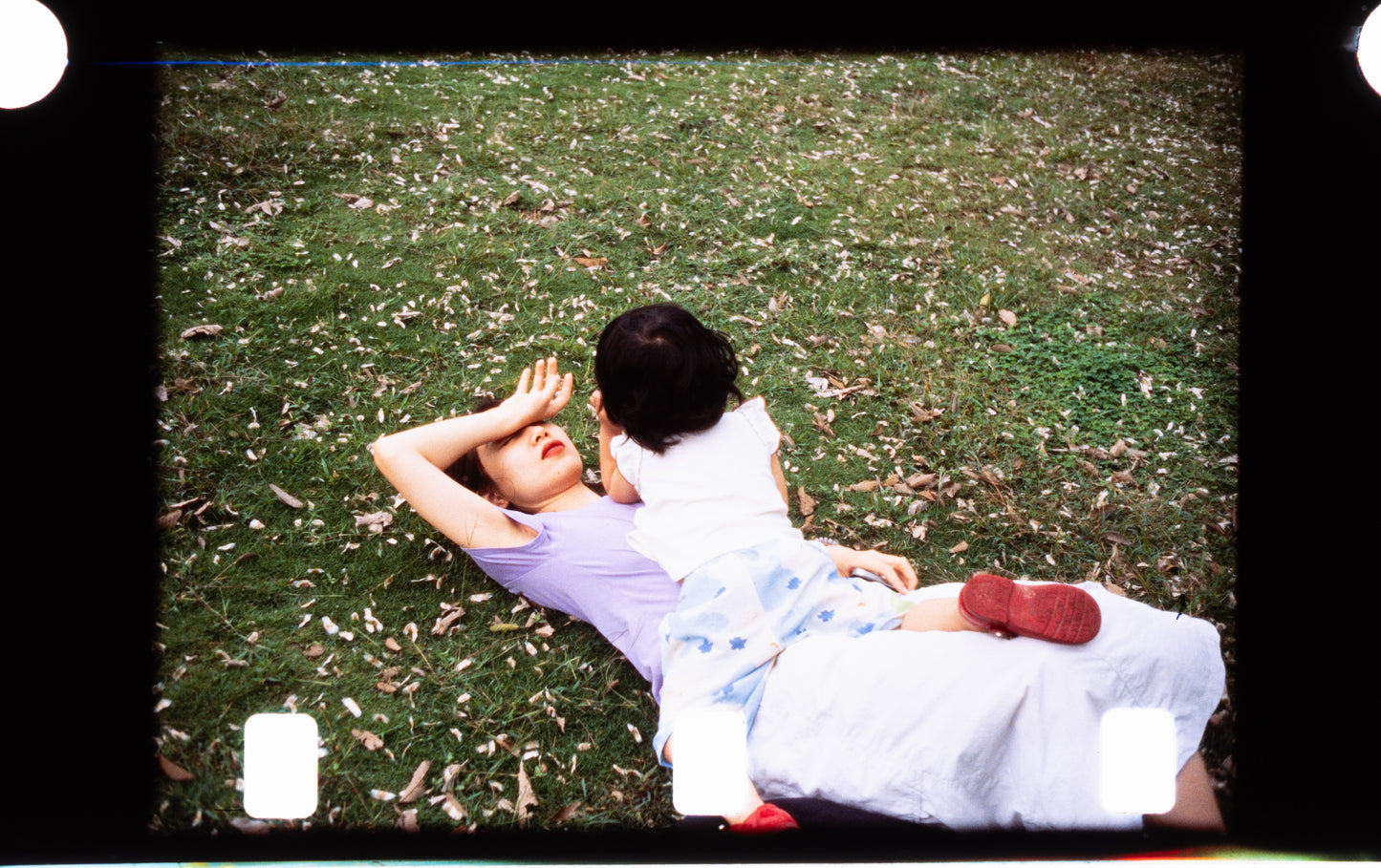 3-PACK REFLX LAB 100R COLOR REVERSAL 110 FILM