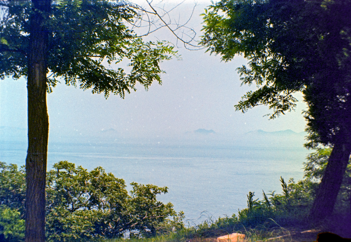 3-PACK FORTUNA C200 110 COLOR NEGATIVE FILM