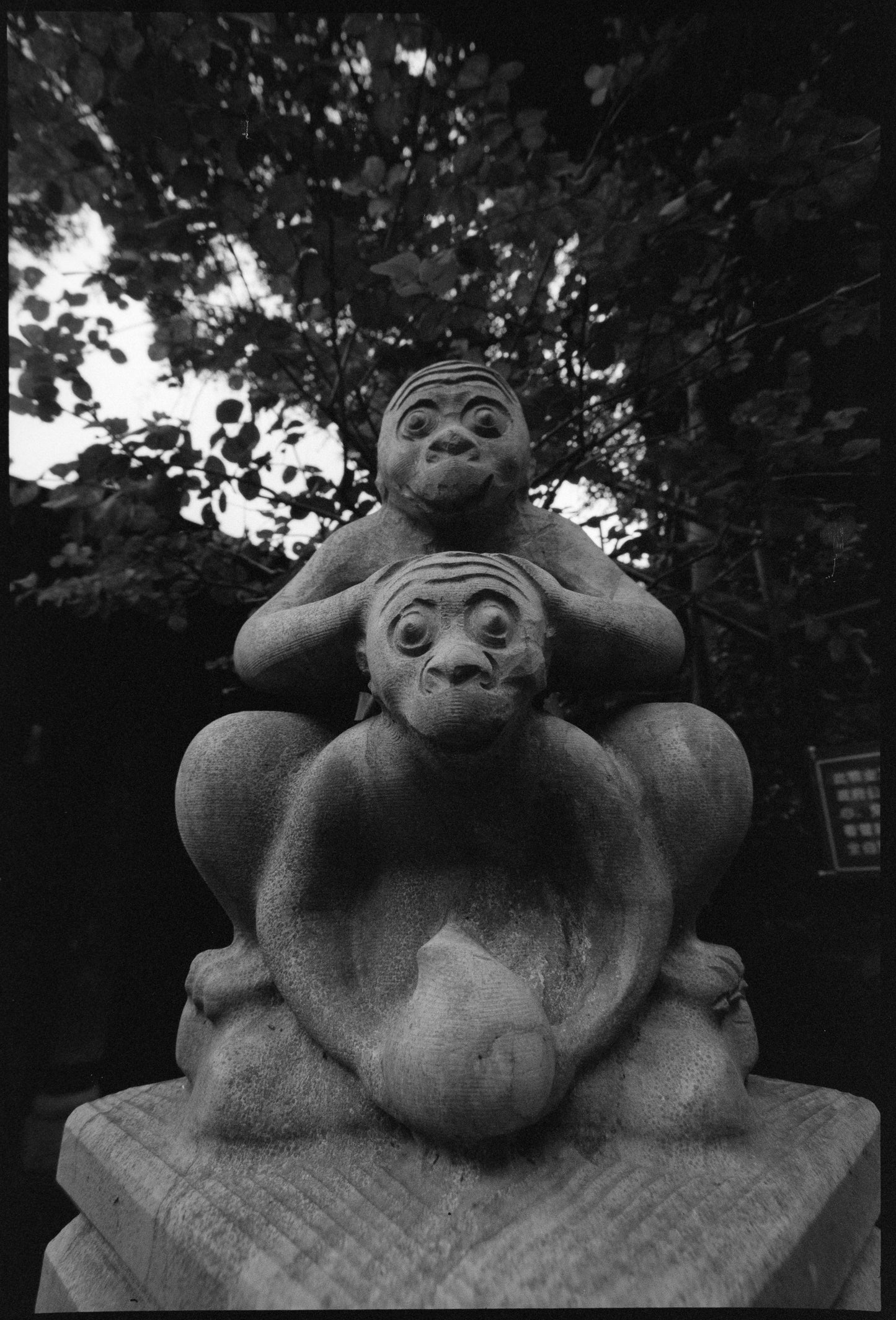ZARYA 400 100FT 35MM B&W BULK ROLL SOVIET FILM